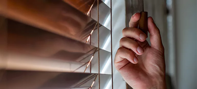 Double Roller Blinds in North Miami, FL