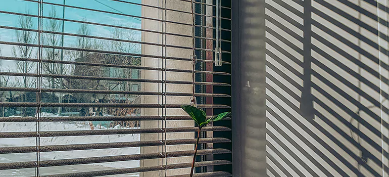 Commercial Window Blinds in North Miami, FL