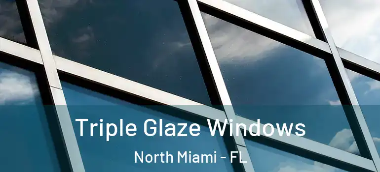  Triple Glaze Windows North Miami - FL