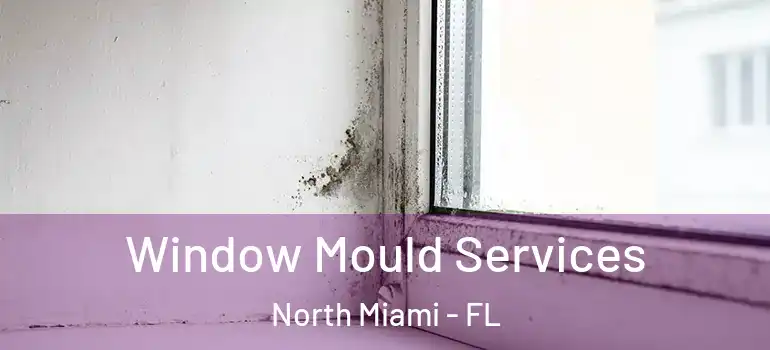  Window Mould Services North Miami - FL